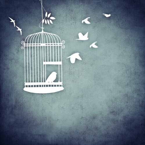 caged bird.jpg